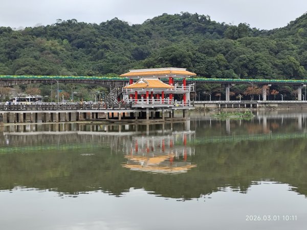 【臺北大縱走 4】大湖公園→大溝溪生態治水園區→圓覺瀑布→峯碧山圓覺寺→碧山巖→白石湖吊橋→碧湖公園3008910