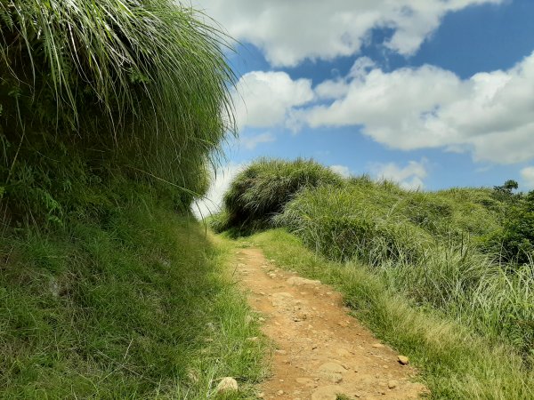 魚路古道北段 - 穿越時空遇到你1068986