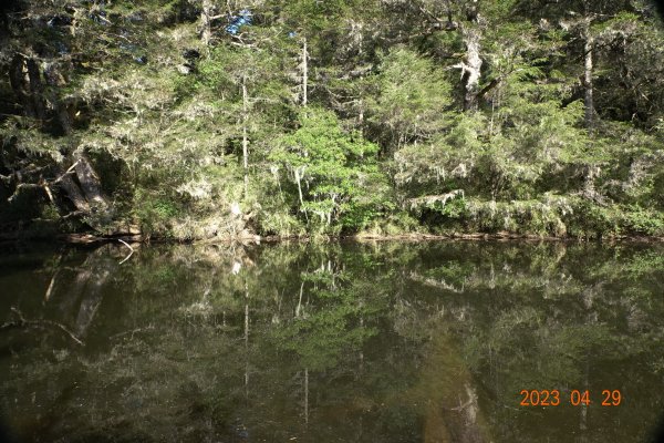 南投 仁愛 武法奈尾山2133781