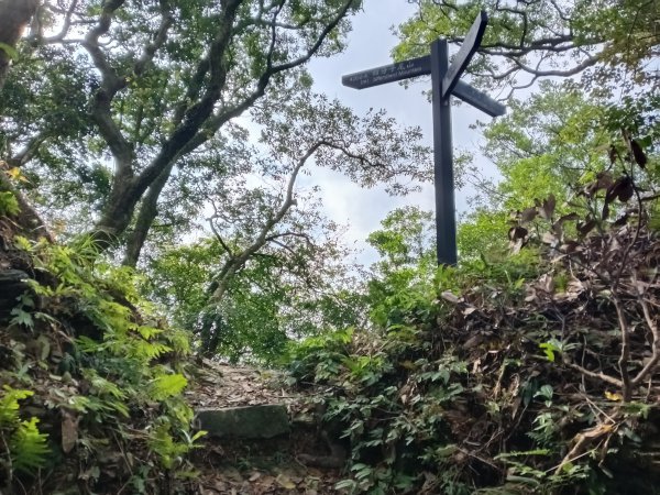 汐止區茄苳越嶺古道+上鹿窟崙山+九層坪山+四分尾山+大尖山8字走2981576