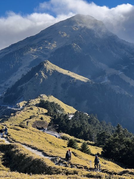 合歡山風景 2024/1/17-182417596