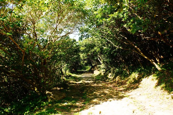 新北 瑞芳 哩咾山、南子吝山3088892