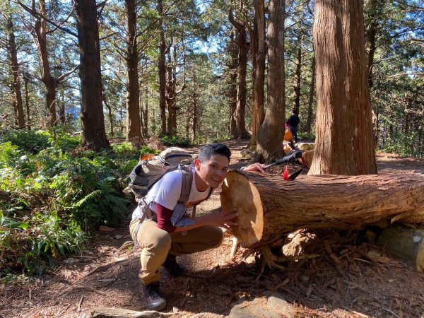 長壽山-醜崠山-鳶嘴山【既優雅又狂野的另類選擇】2673997