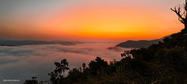 #坪林 #火燒雲 #日出 #雲海 #觀音圈 #金山 #花鳥蝶 6/3&4&163068868