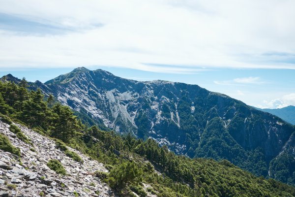 南橫三星兩日包車2882873