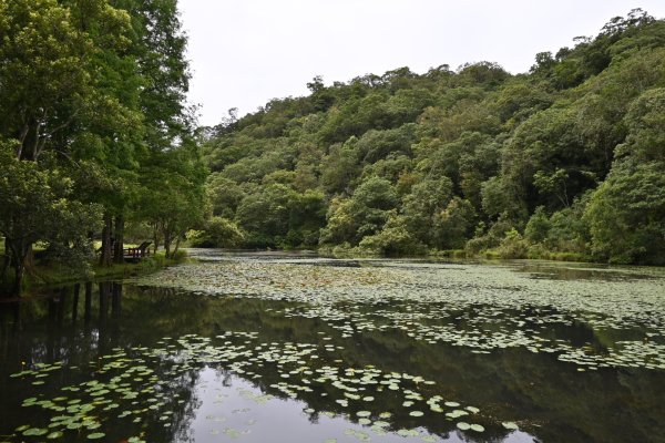 2025_0712 福山植物園2836168