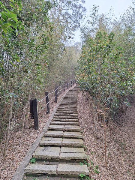 劍潭古道202503122734298