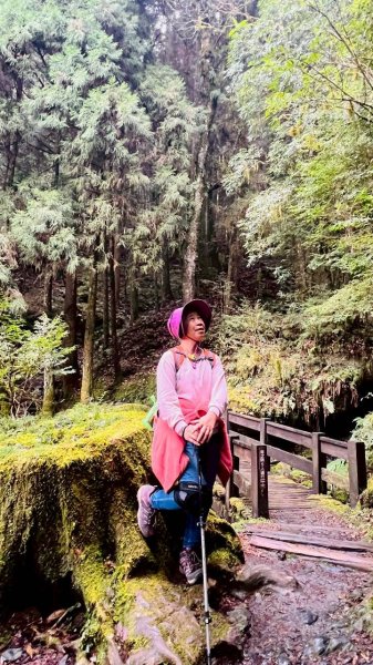 🌈3/28（六）觀霧檜山巨山步道×瀑布步道✨FB：熊熊趴爬走🌈3025249