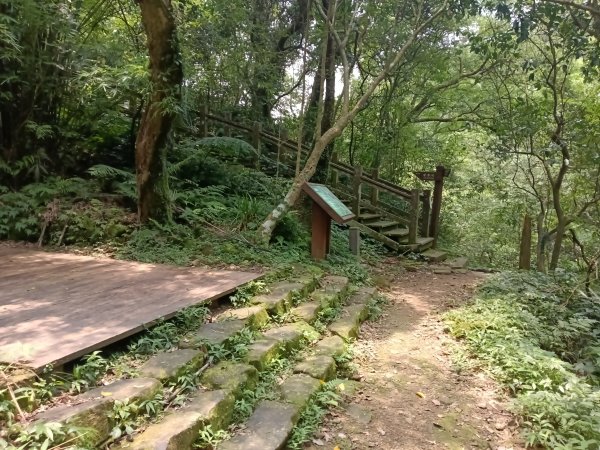 基隆市荖寮坑古道+十分古道(暖東舊道)+頂子寮山(嶺頭土地公)P字走2821575