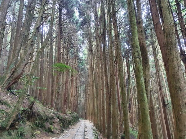 特富野古道1303979