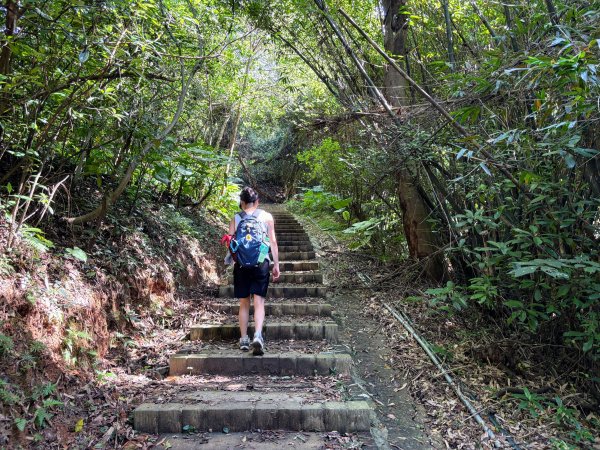 犁頭山、文山步道2835634