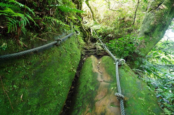 新北 三峽 白雞山、雞罩山2551215