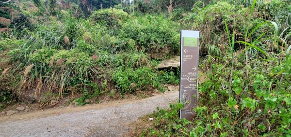 2023-12-02梅峰古道、獵鷹尖一線天步道、伍龍步道環行一圈2367067