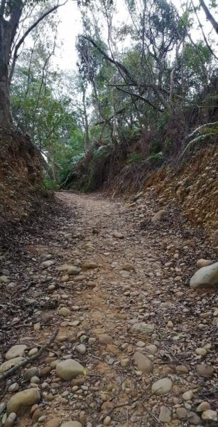 三通嶺古道1573635