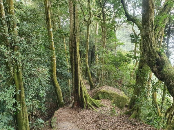 嘉南雲峰、石壁山登山步道（小百岳）1351705