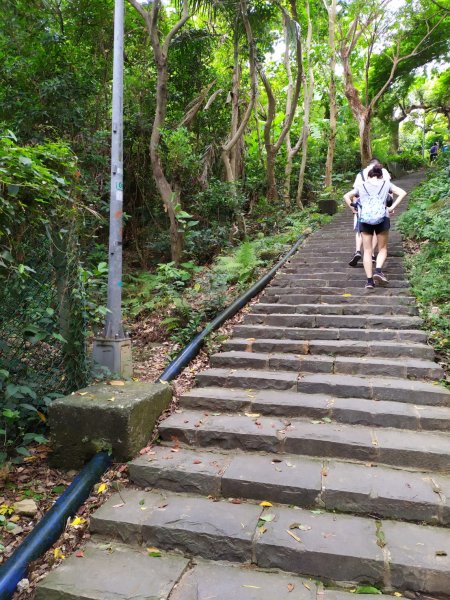 天母水管路步道(天母古道)1099003