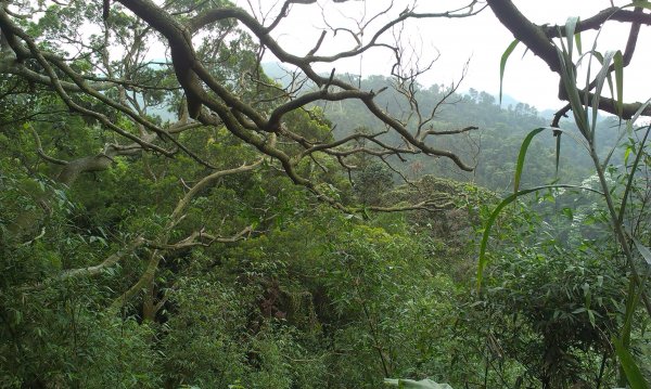 蓬萊仙島_石牛山_油井窩山O型201404301959940