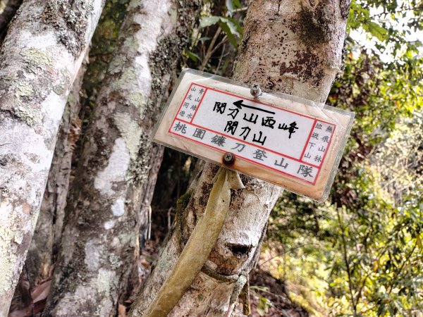 關刀山-關刀山西峰-西關刀山北峰 2021.4.31344317