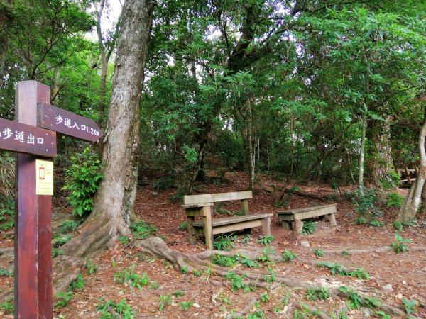 【台中。和平】清悠賞景。 德芙蘭生態步道1099060