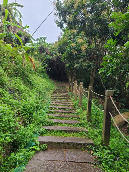 大坑6號上+8號探路+7號下2771414