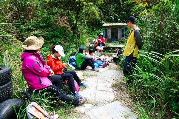 燦光寮古道與黃金三稜554305