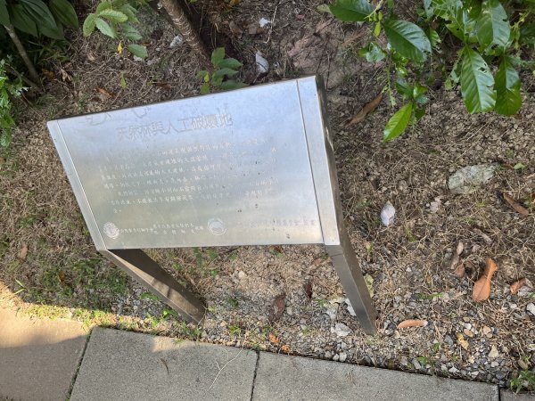 [微笑山線_第五段] 2025_0705 天上山系_五尖山2830304