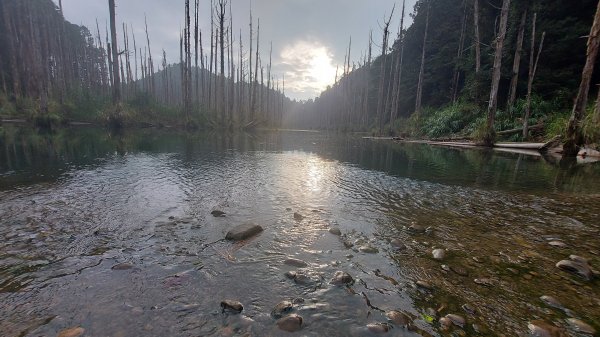 水漾森林完成一趟兩天一夜的野營營地訓練1482484