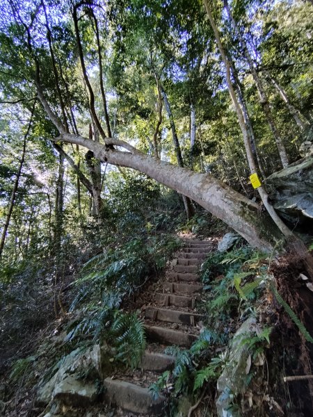 佳保台山-八仙山2910262