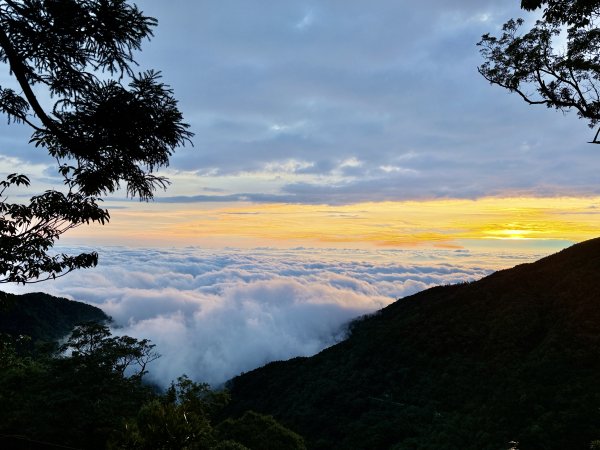 又來老地方避暑，順走小雪防火巷秘境  2026.7.1-23081459