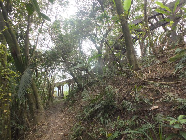 百二階古道+苕谷瀑布+逸仙山+泰和樓2734469