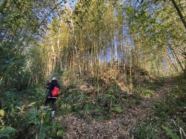 2024.02.01 凌空廊道登煤源山2843938