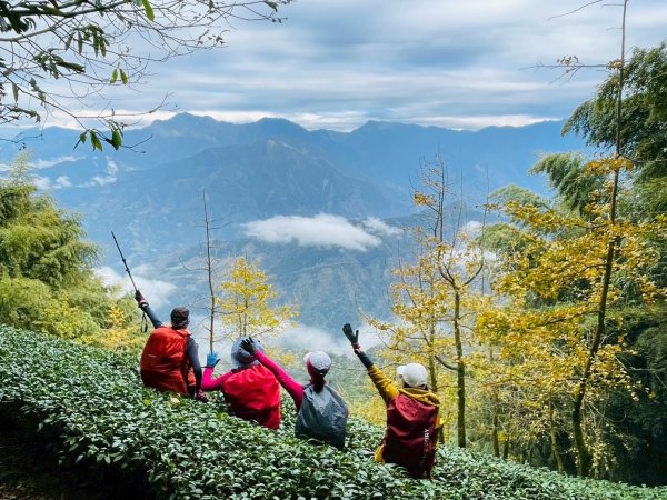 2025-030：金柑樹山連走鳳凰山（金鳳縱走）