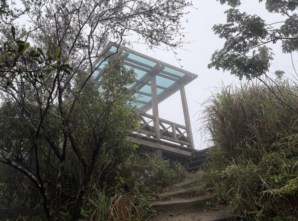 [微笑山線_第八段] 2026_0321 二格山系_二格山3020935