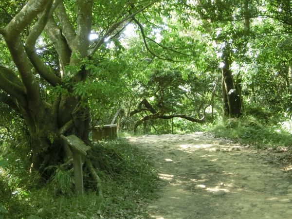 觀日坪古道．飛鳳山182543