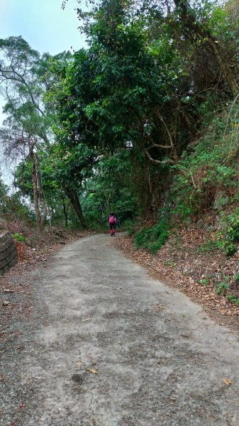 小百岳【尾寮山】905213