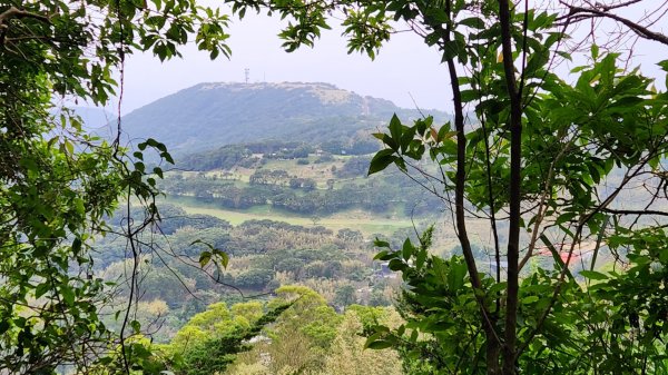 皇帝殿，獅公髻尾山，指南宮千階步道（竹柏參道），十六分山，貓空尖，絹絲瀑布步道2394557