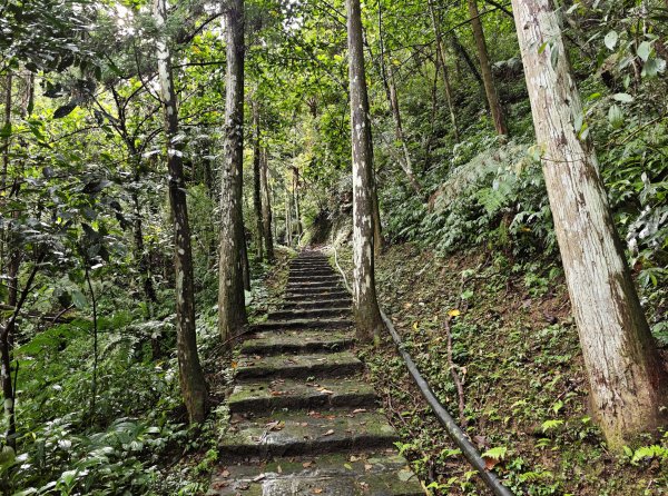 [皮皮獅動物派對-04/10] 2026_0823 騎龍古道3121558