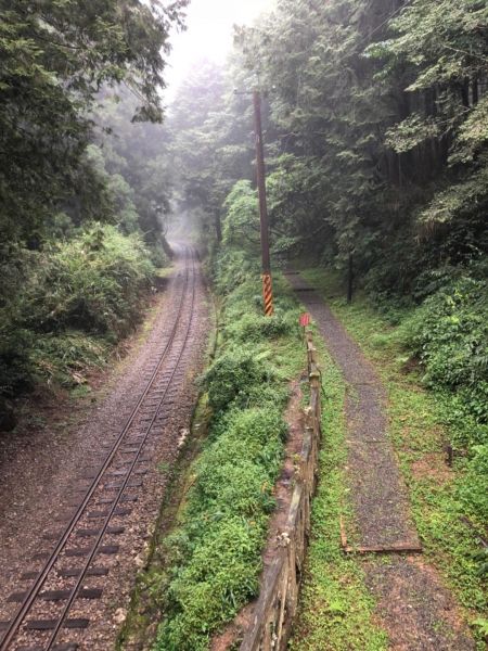 1070815大塔山390275