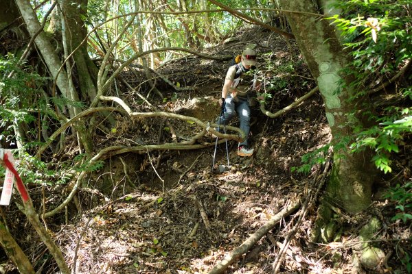 苗栗泰安 | 雪見‧初探北坑溪古道2700065