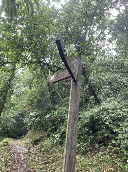 灣潭古道登山口至外澳車站2528479