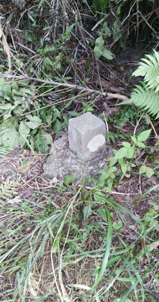 銀河洞，貓空尖，待老坑山大o型444301