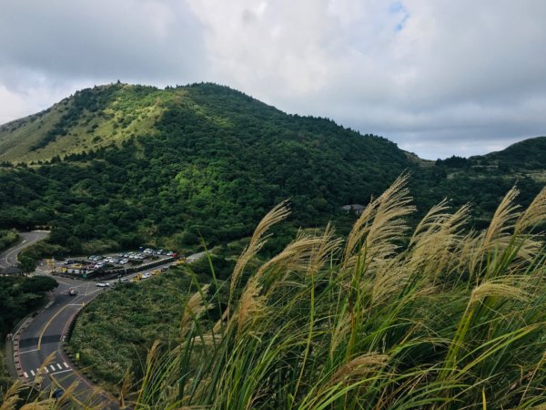 1091026魚路古道/上磺溪-冷水坑1147113