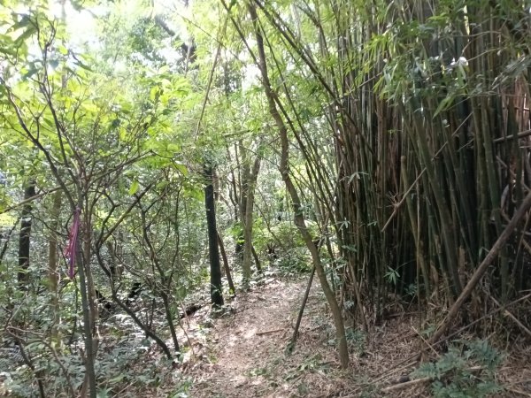 基隆市/萬里區界寮縱走之三界山+三界山西峰+開眼尖山+七分寮山+瑪七產道山泉水接水亭2979585