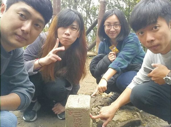 東眼山自導式步道294140