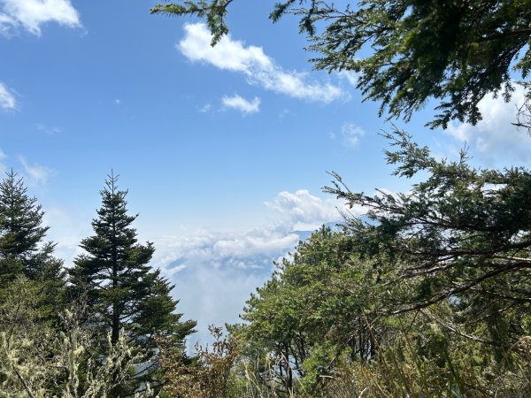 25/04/11羊頭山單攻2760058