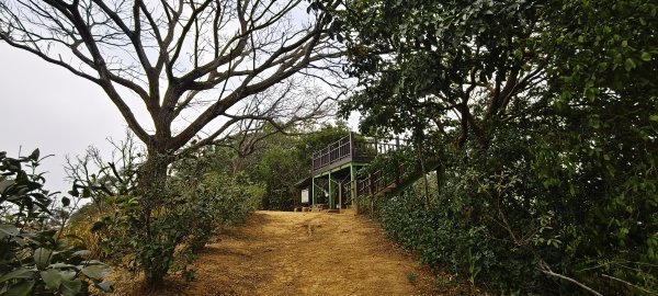 2025/12/21_口山古道O型2968554