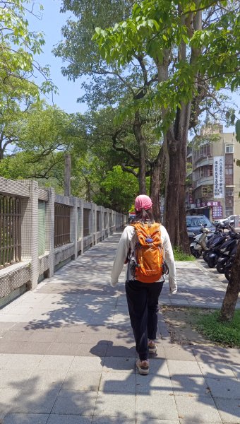 (姨婆趴趴走)第五十四集:攀登台北內湖剪刀石山、金面山2775878