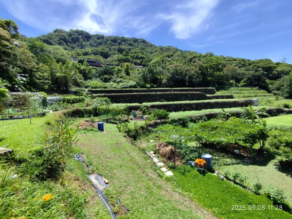 【臺北大縱走 7】2-1 樟山寺→樟樹步道→彩雲亭→相思炭窯→貓纜貓空站→指南路三段40巷2881810
