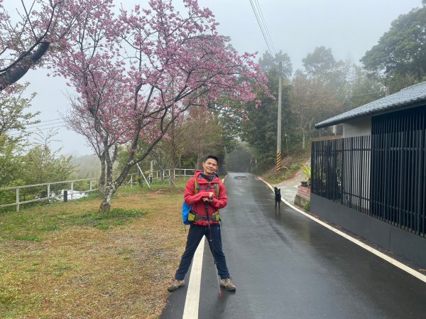 烏嘎彥竹林步道.馬都安古道【因為堅持 所以更顯珍貴】2064494