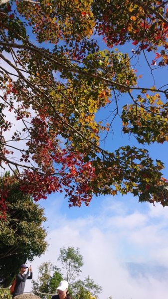 馬那邦山O走2370155